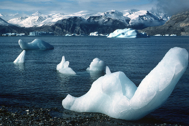 Eisberge und Meereis