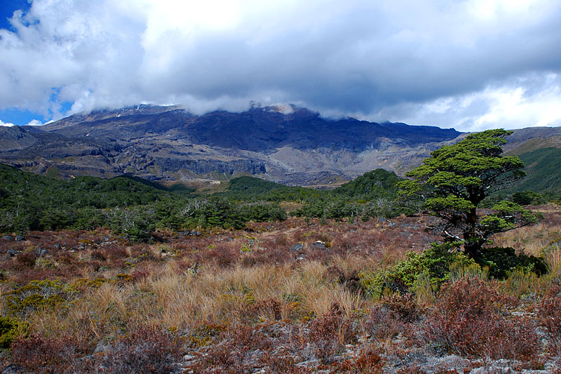 Ruapehu: earlier glacial activity (Pleistocene Epoch)