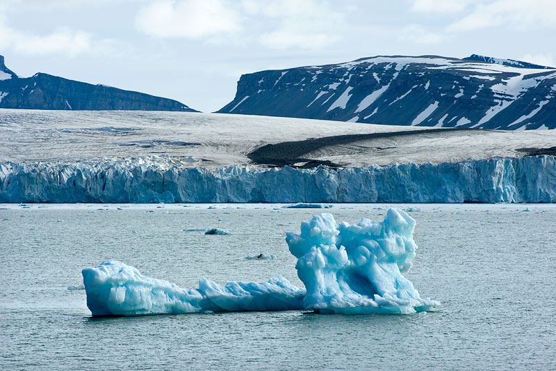 Ice dreams: Icebergs of Kongsfjorden