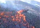 Il flusso di lava sotto il Cono di Sud Est, 4-9 Aprile 1999, Video