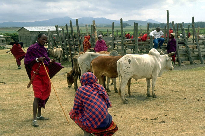 Mercato Maasai. 27 Luglio 2003