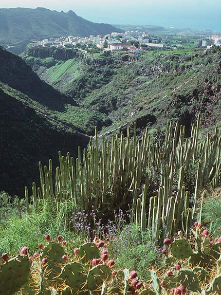 Tenerife jenseits der Caadas