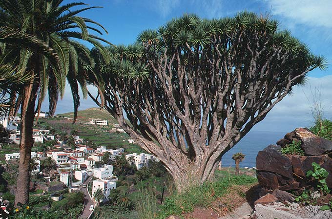 Tenerife jenseits der Caadas