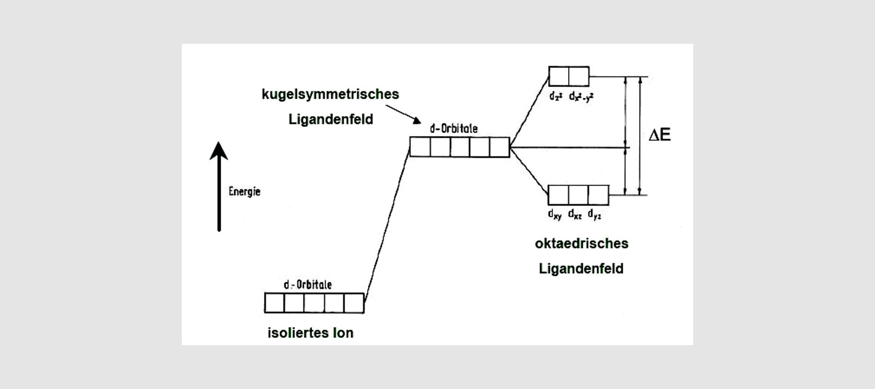 Koordinative Bindung