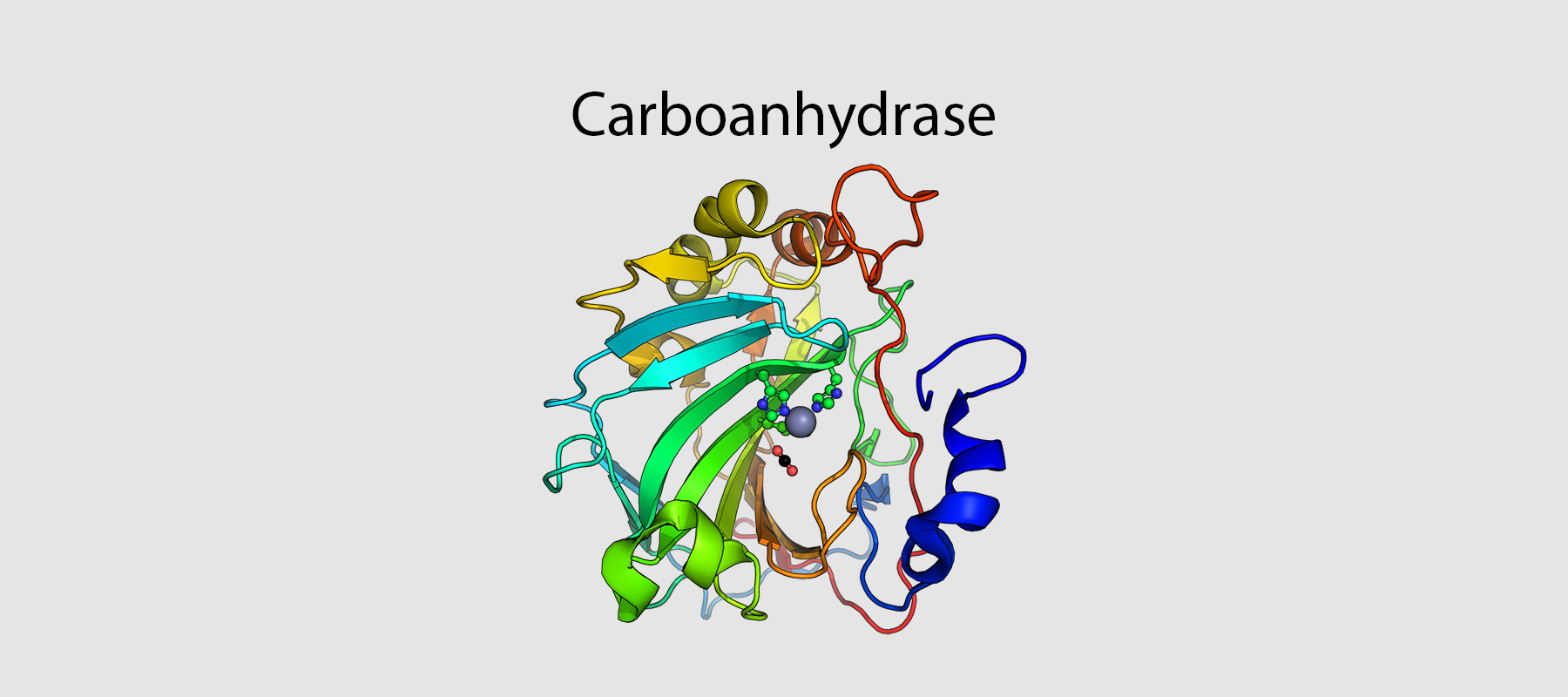 Carboanhydrase