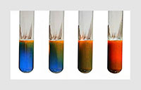 Eyecatcher_download_kohlenhydr