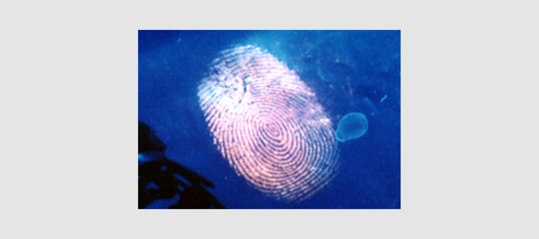 Interdisziplinre Chemie