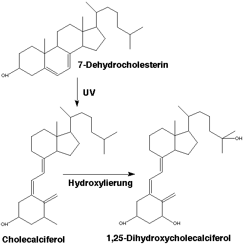 download calciferol