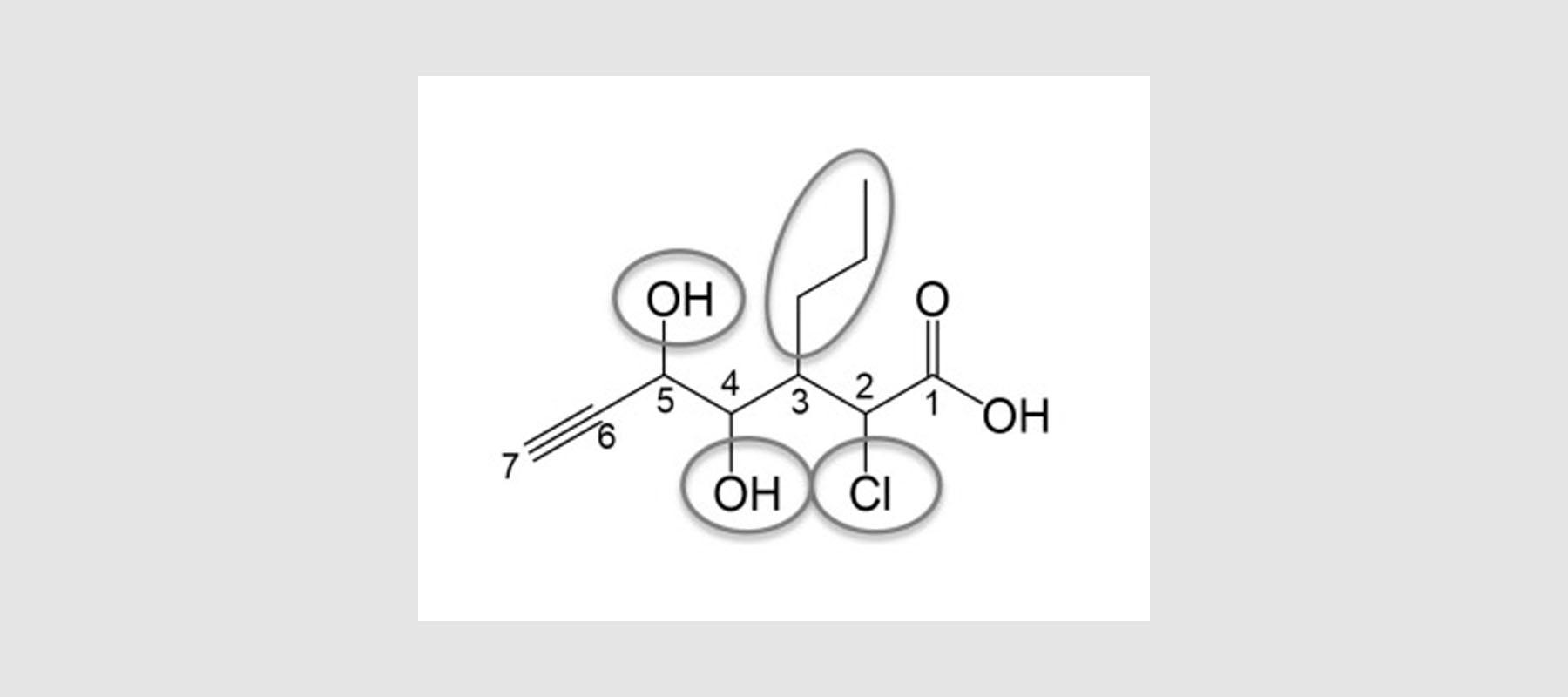 Nomenklatur der Kohlenwasserstoffe