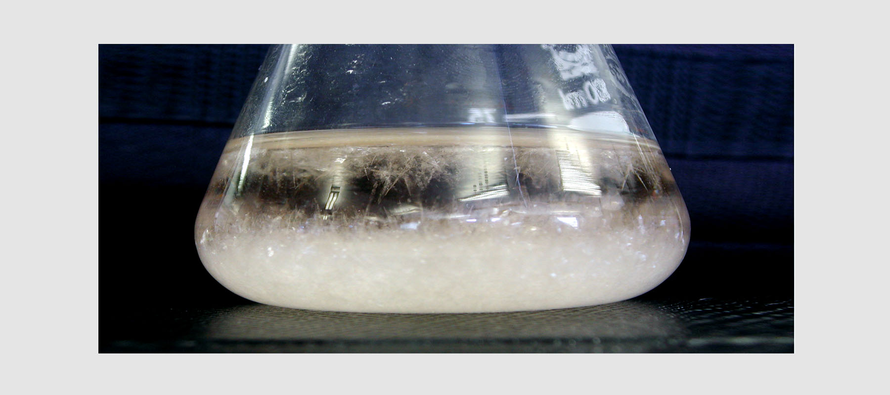 Synthese Sulfanilamid: Praktikum