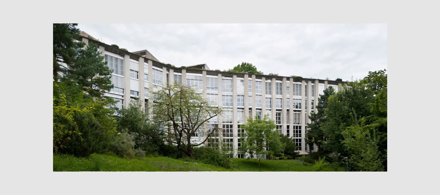 Zentralkurs 2012 im Gymnasium Rämibül Kt. Zürich