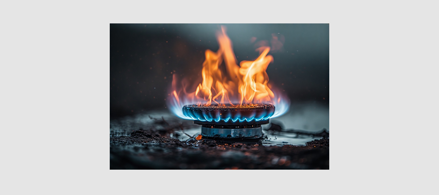 Stoffe und Energie umwandeln