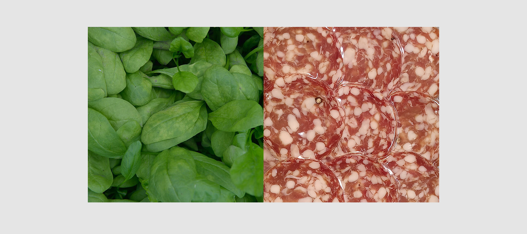 Nitrit und Nitrat in Lebensmitteln