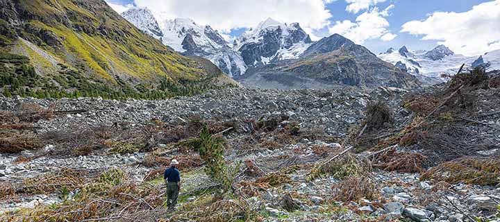 2024: Big landslide